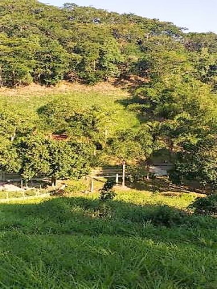 Terreno, 1200 m² - Foto 13