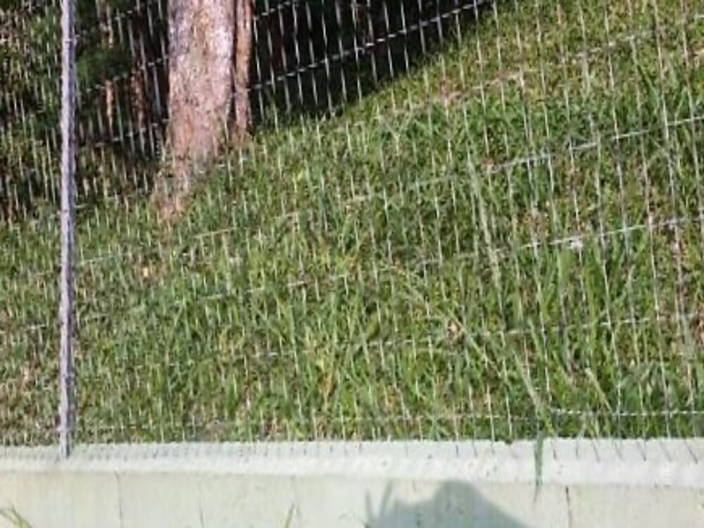 Terreno, 1200 m² - Foto 11