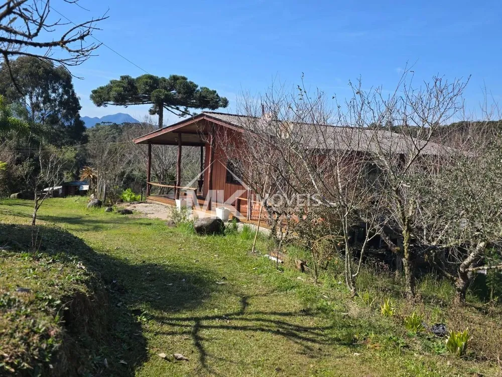 Chácara, 6 quartos, 3 hectares - Foto 6