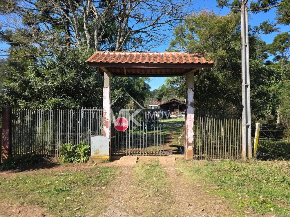 Chácara, 6 quartos, 3 hectares - Foto 4