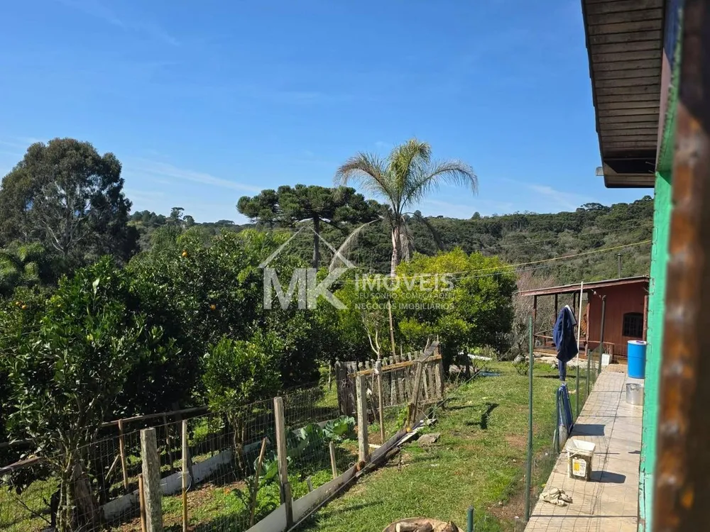 Chácara, 6 quartos, 3 hectares - Foto 11