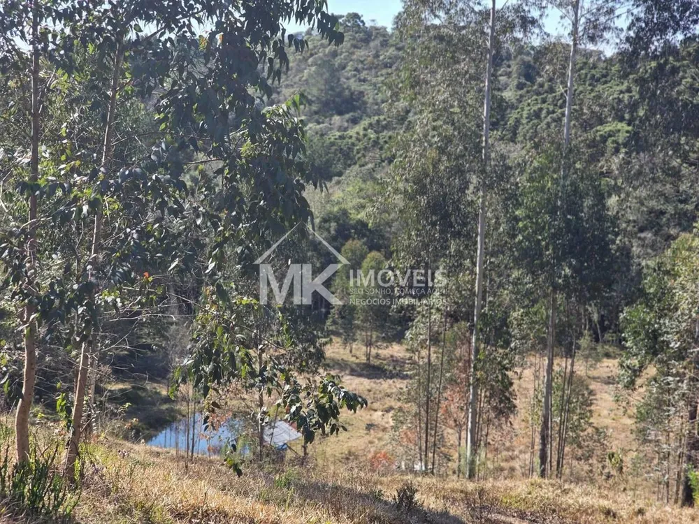 Chácara, 6 quartos, 3 hectares - Foto 7