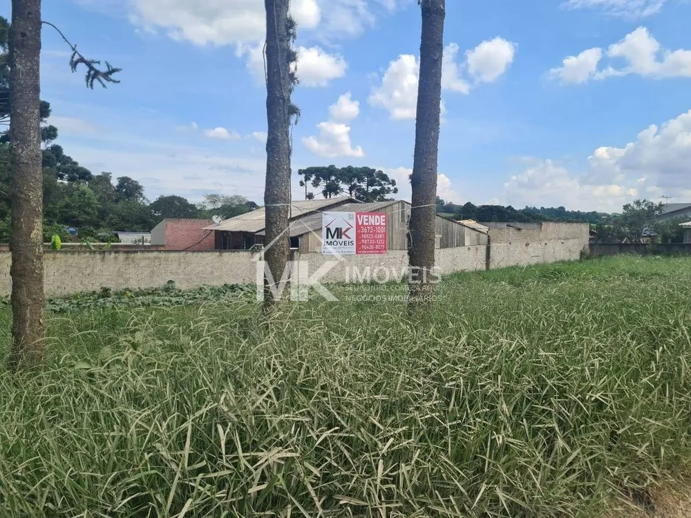 Terreno - Foto 2
