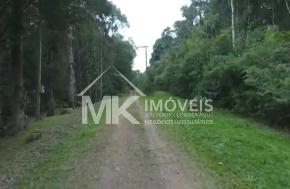 Terreno - Foto 5