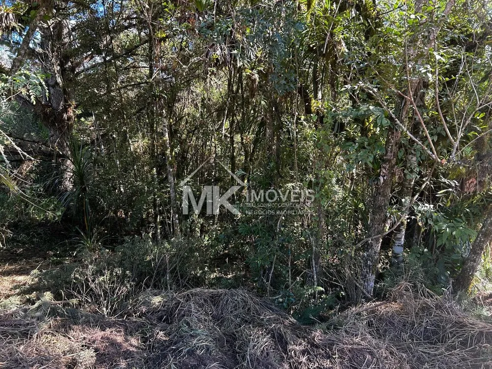 Terreno, 1730 m² - Foto 11