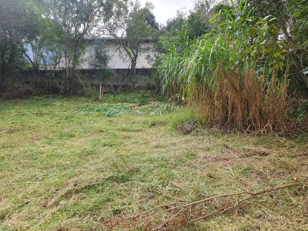 Terreno - Foto 2