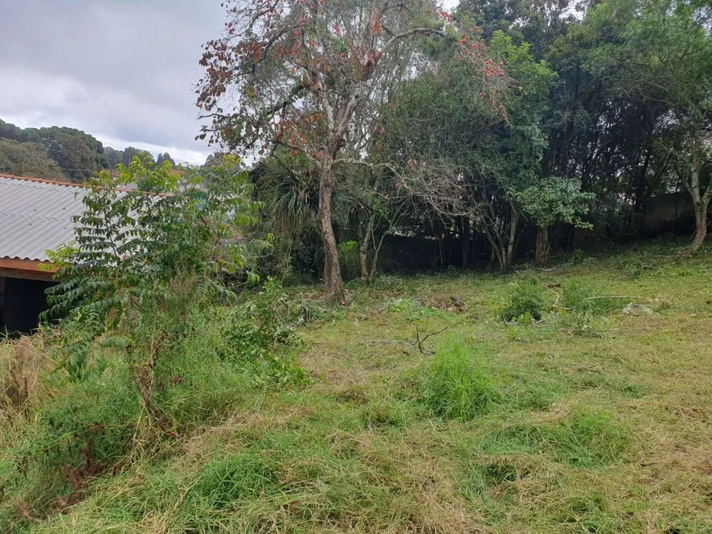 Terreno - Foto 6