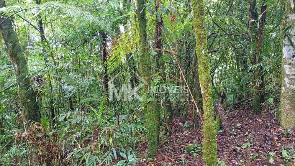 Terreno, 5000 m² - Foto 5