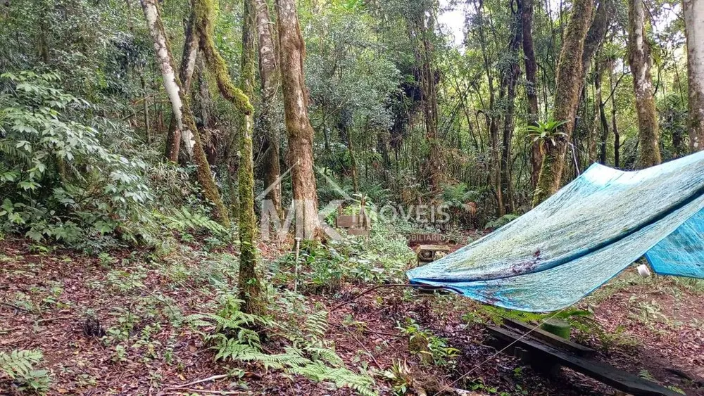 Terreno, 5000 m² - Foto 2