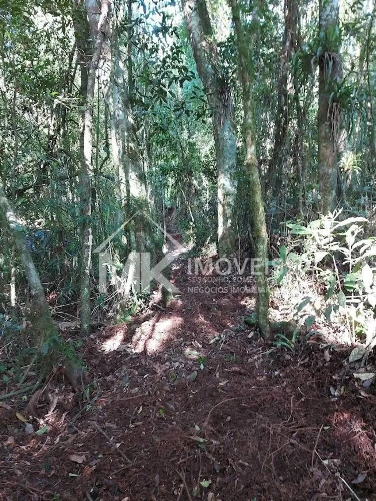 Terreno, 5000 m² - Foto 7