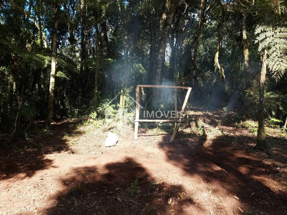 Terreno, 5000 m² - Foto 8
