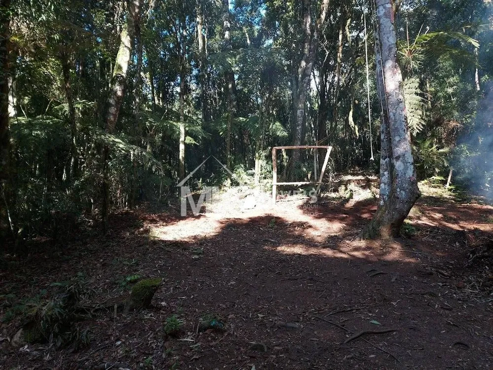 Terreno, 5000 m² - Foto 6