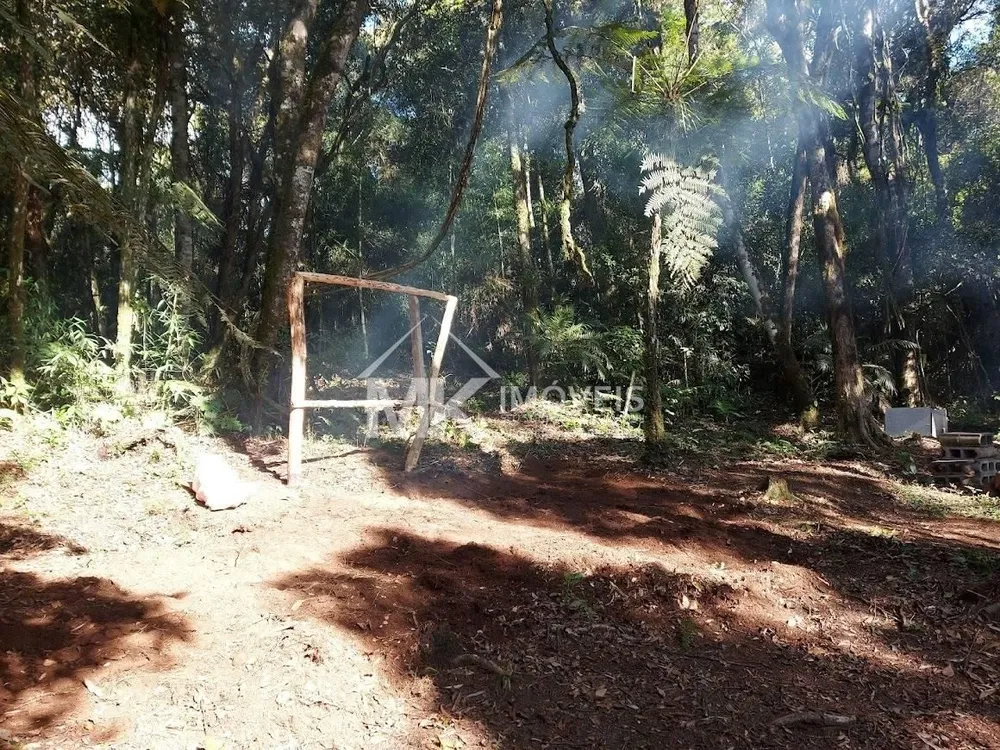 Terreno, 5000 m² - Foto 9