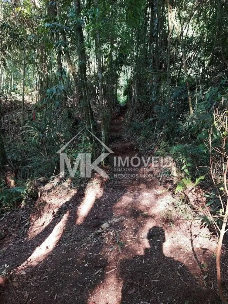 Terreno, 5000 m² - Foto 11