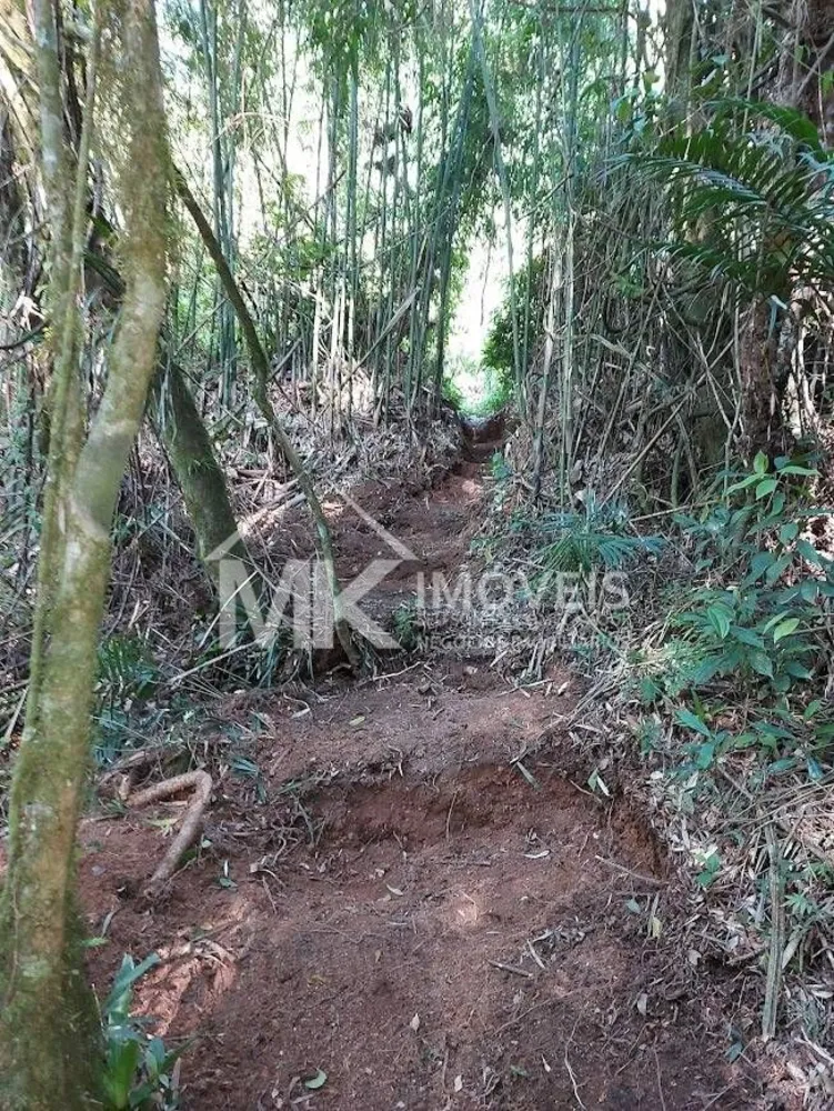 Terreno, 5000 m² - Foto 10