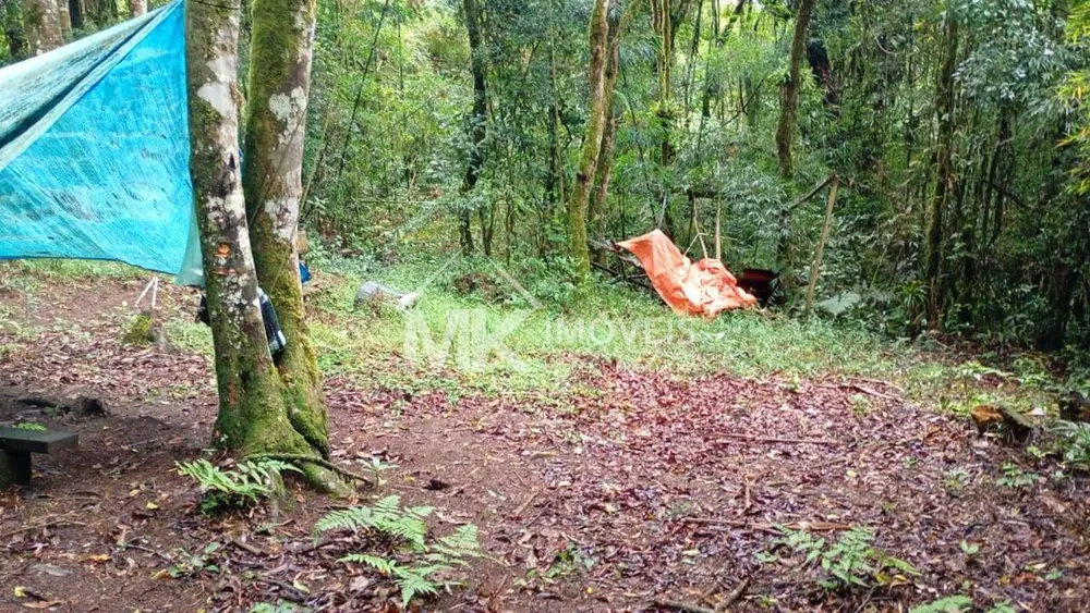 Terreno, 5000 m² - Foto 4