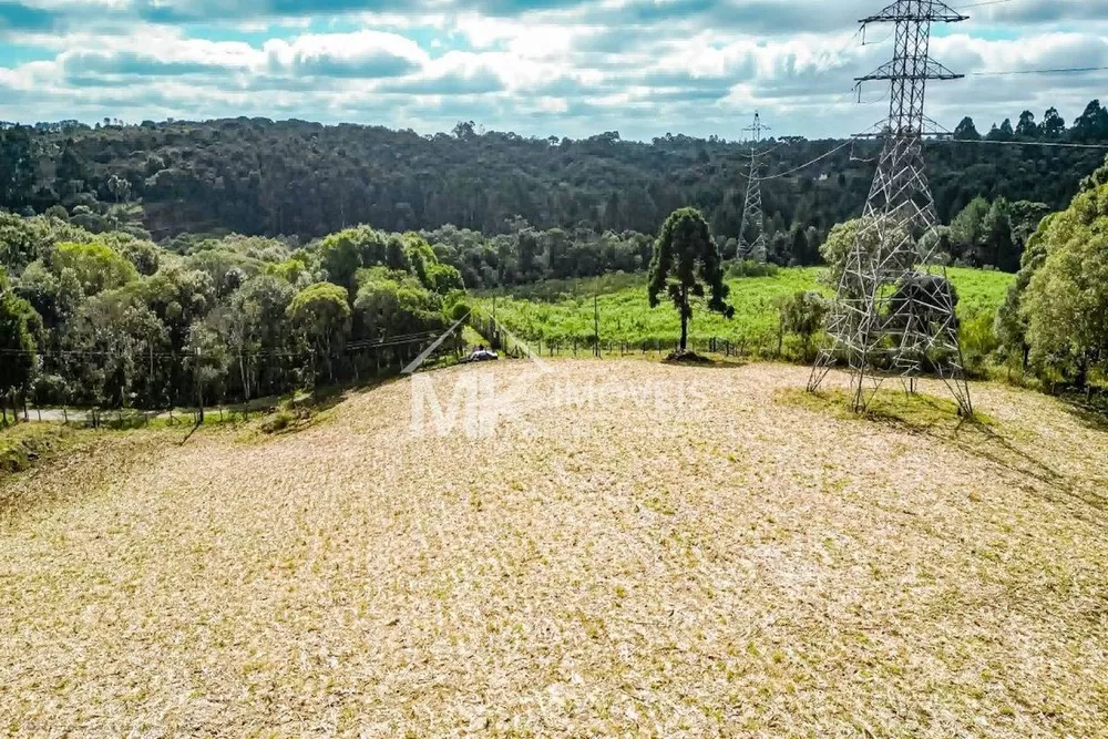 Terreno à venda, 21000m² - Foto 3