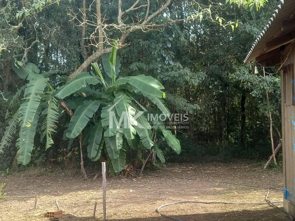 Chácara, 3 hectares - Foto 4