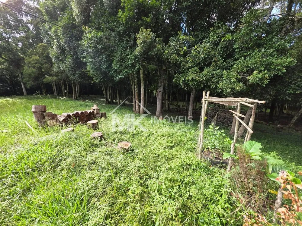 Terreno, 5 hectares - Foto 4
