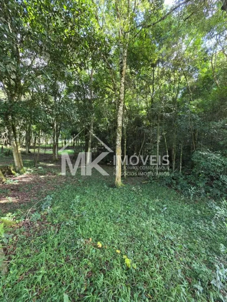 Terreno, 5 hectares - Foto 15
