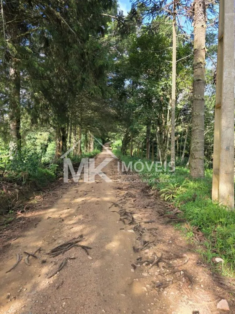 Terreno, 5 hectares - Foto 16
