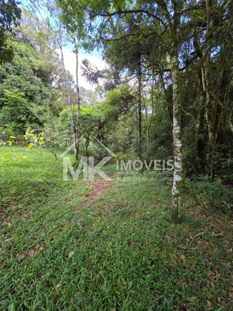 Terreno, 5 hectares - Foto 10