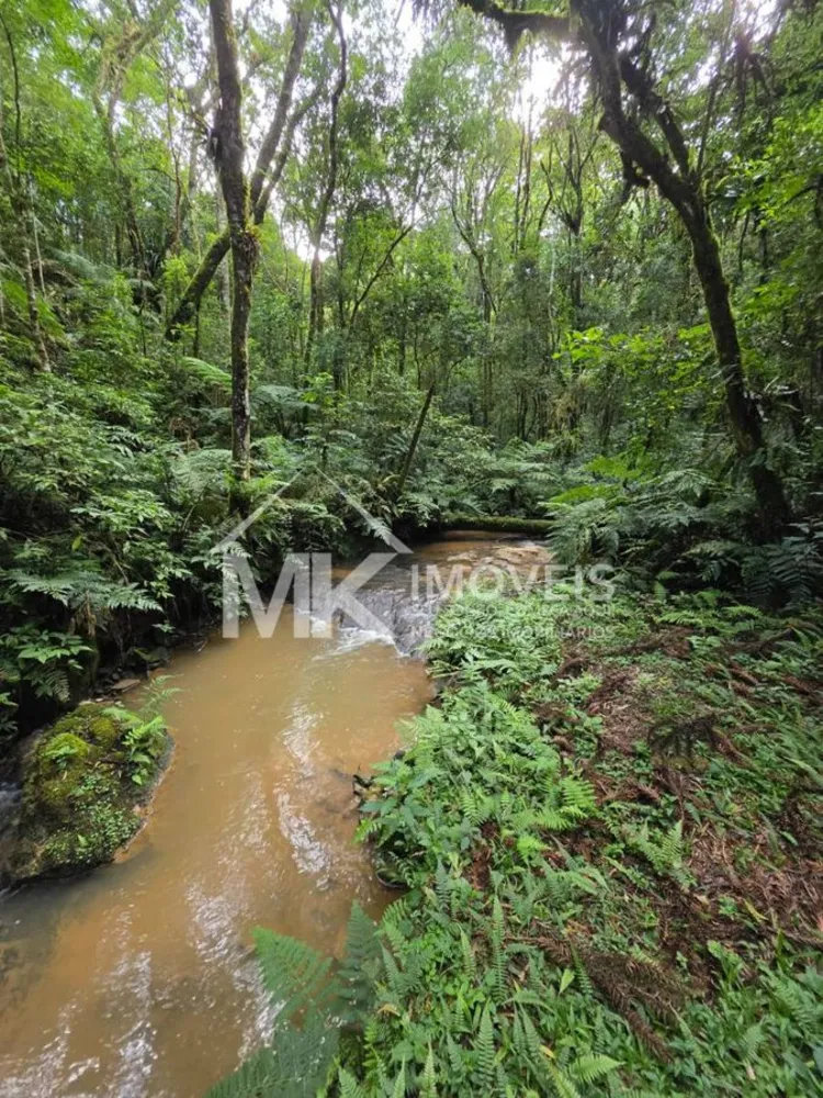 Terreno, 5 hectares - Foto 11