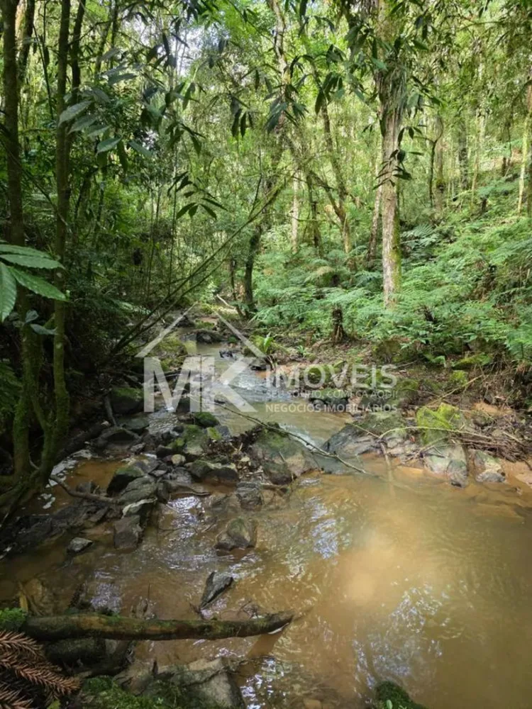 Terreno, 5 hectares - Foto 13