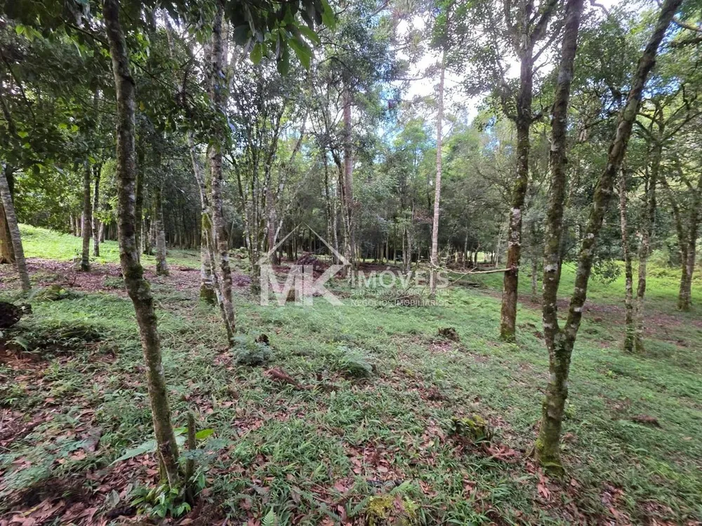 Terreno, 5 hectares - Foto 3