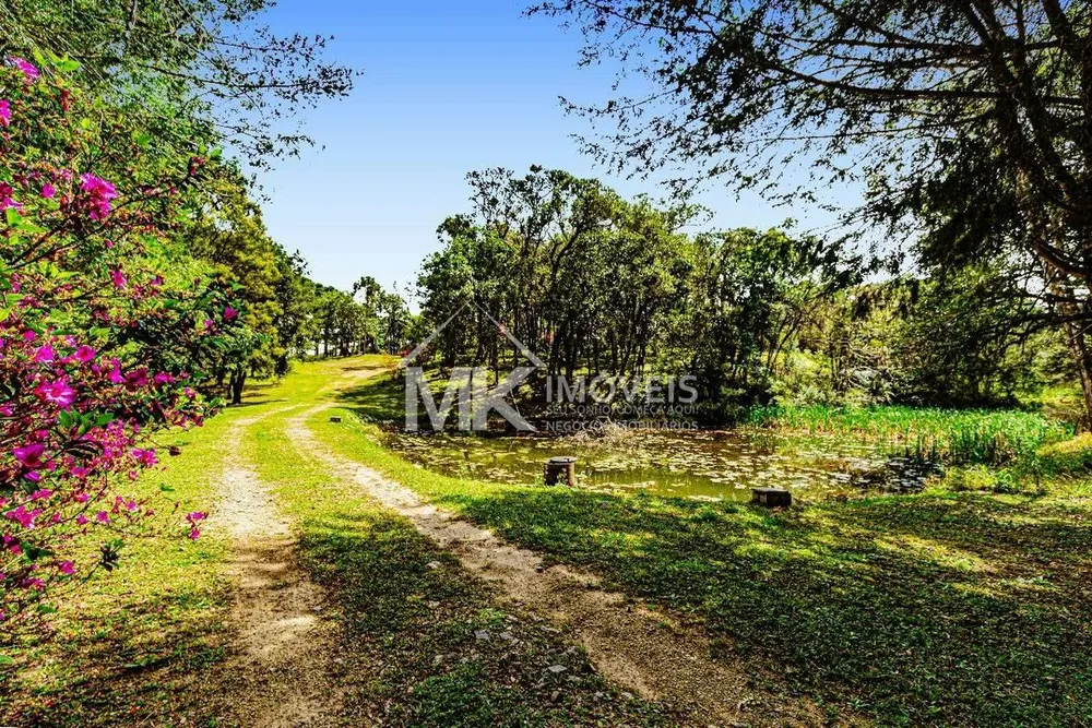 Chácara, 5 quartos, 5 hectares - Foto 2