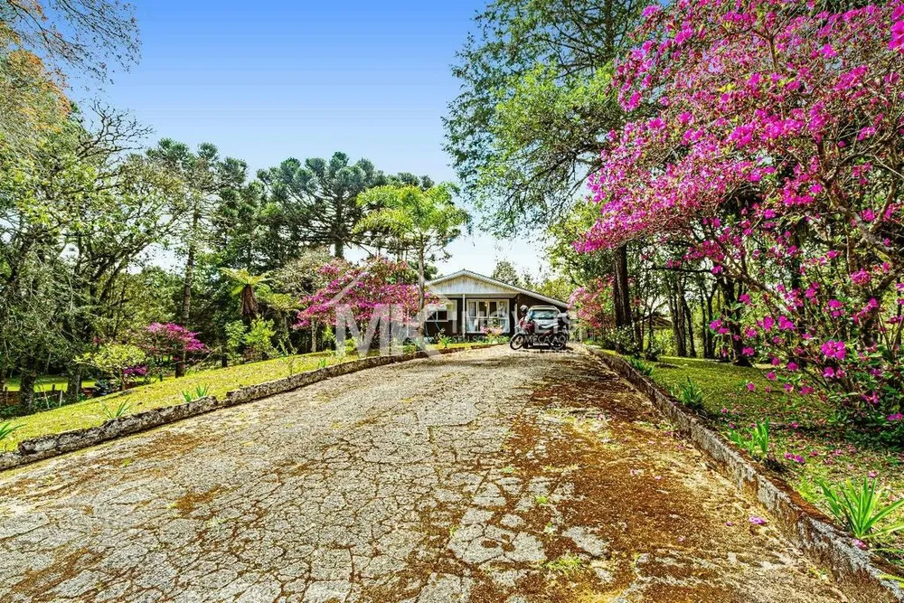 Chácara, 5 quartos, 5 hectares - Foto 7