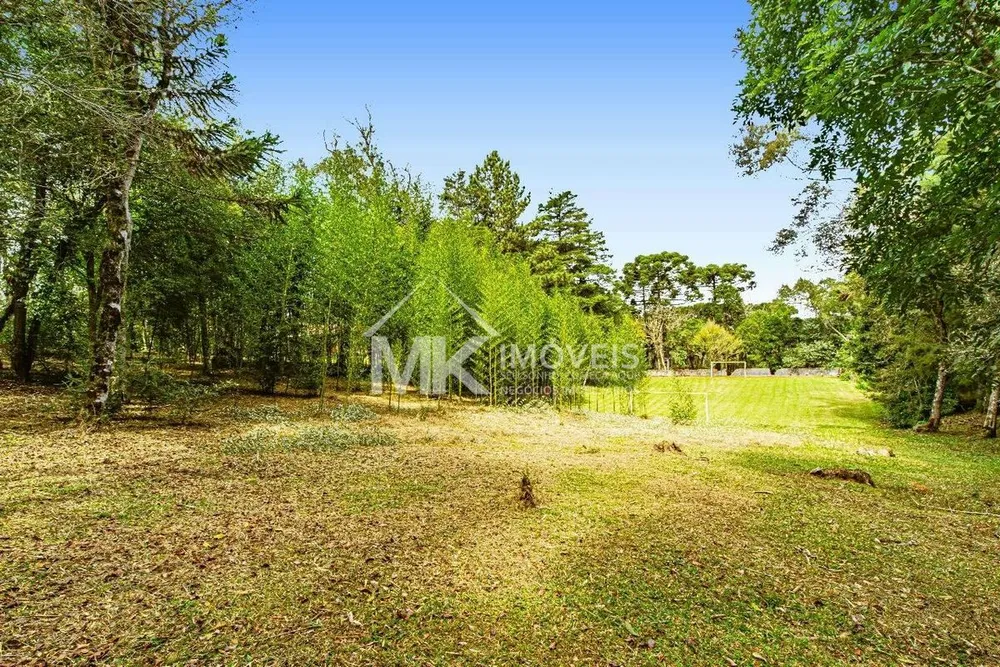 Chácara, 5 quartos, 5 hectares - Foto 8