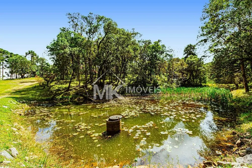 Chácara, 5 quartos, 5 hectares - Foto 8