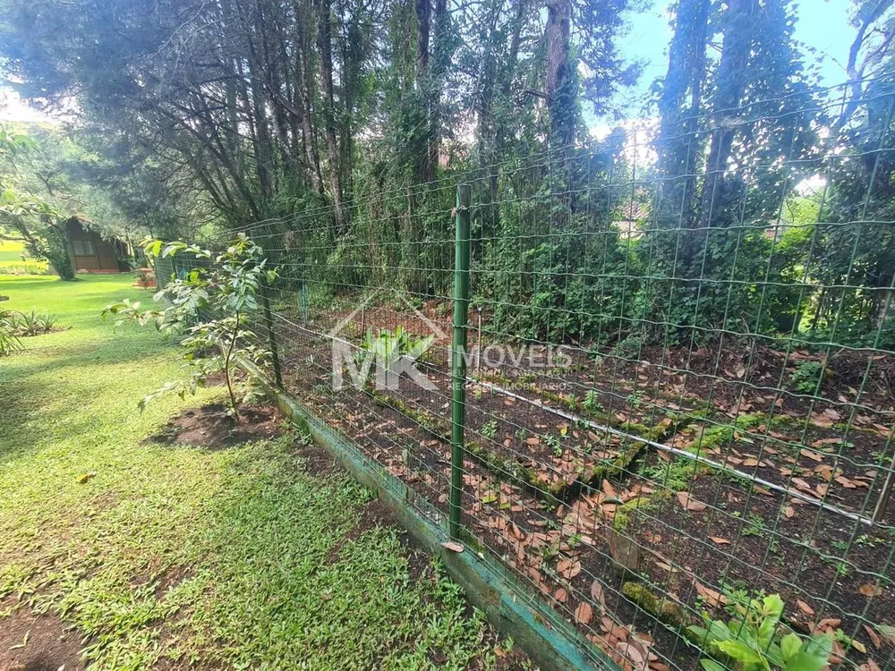 Chácara, 3 quartos, 5000 m² - Foto 5