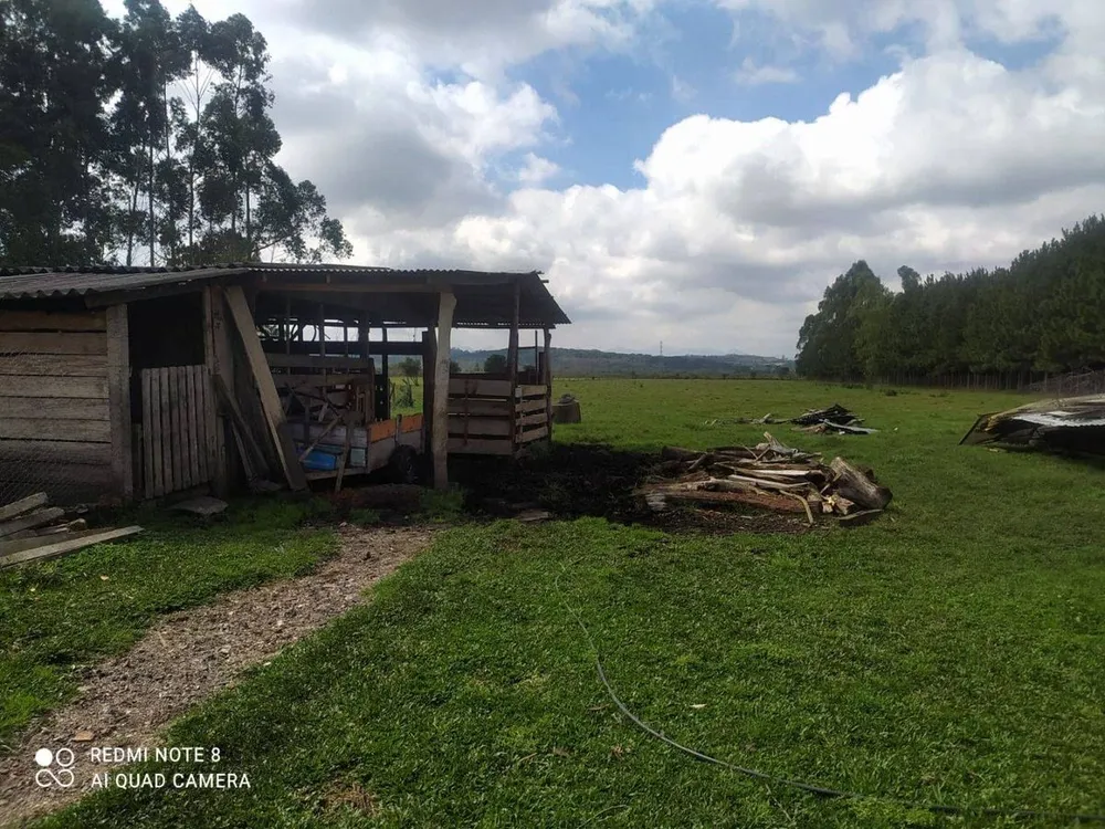 Terreno - Foto 5
