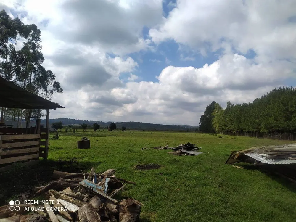 Terreno - Foto 4