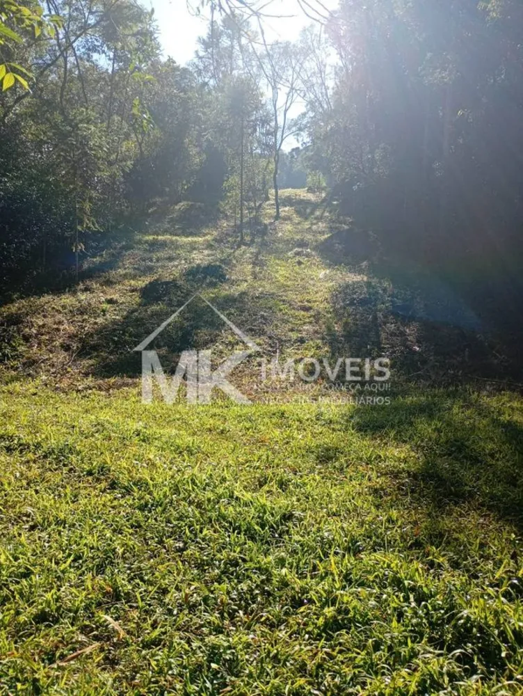 Terreno, 2 hectares - Foto 3