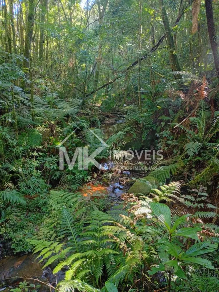 Terreno, 2 hectares - Foto 6