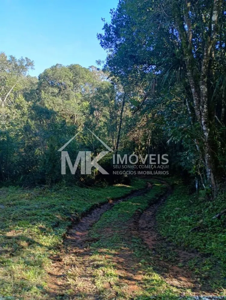 Terreno, 2 hectares - Foto 7