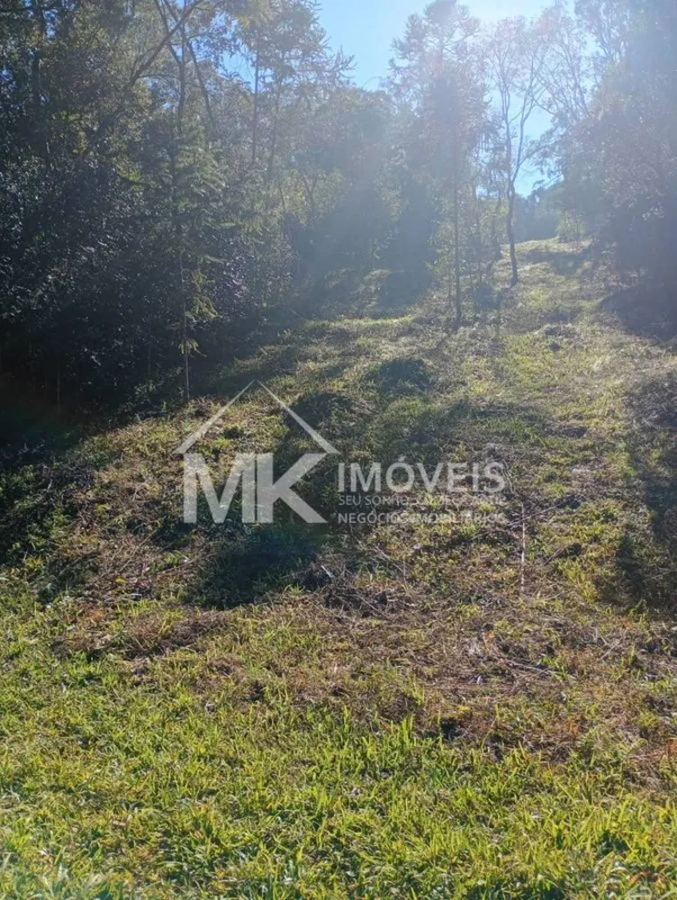 Terreno, 2 hectares - Foto 2