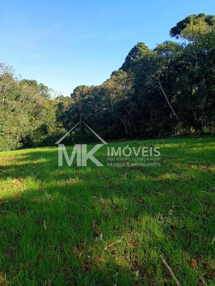 Terreno, 2 hectares - Foto 1