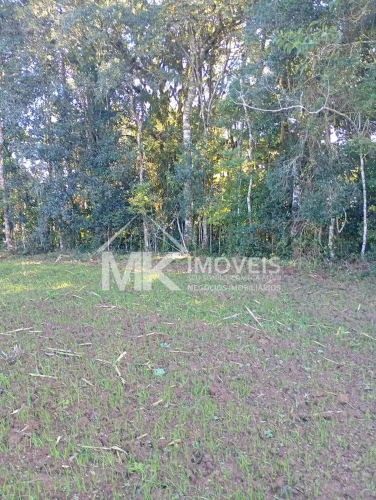 Terreno, 2 hectares - Foto 4