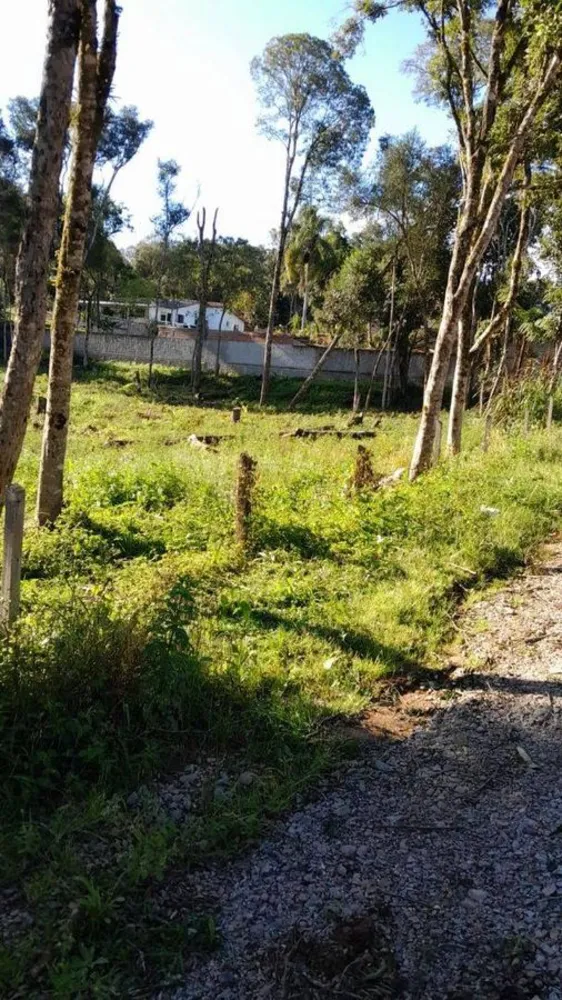 Terreno - Foto 5