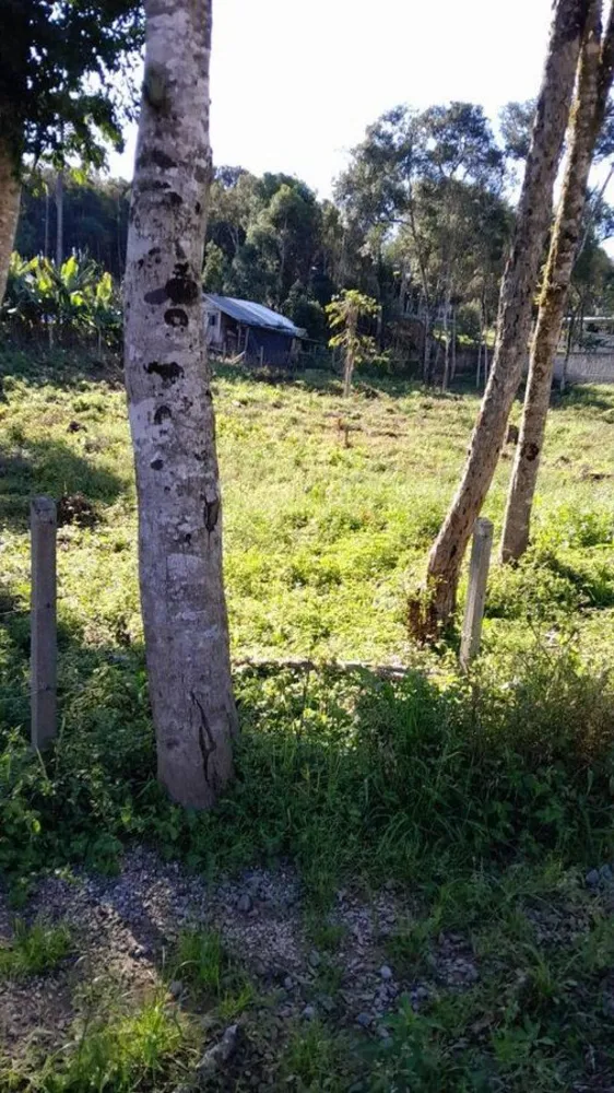 Terreno - Foto 2