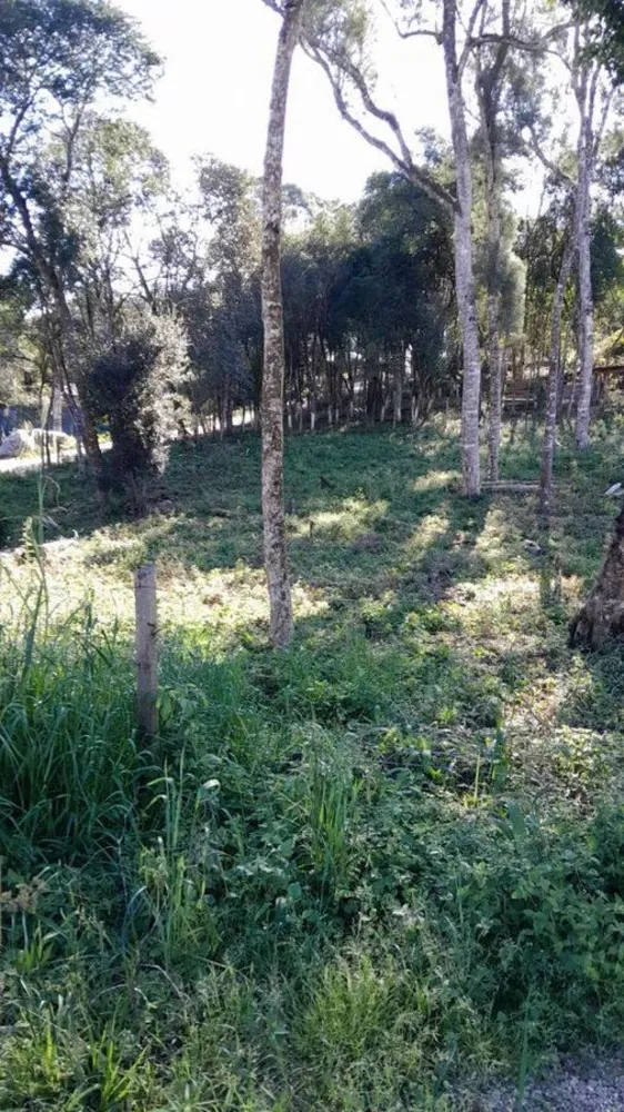 Terreno - Foto 1
