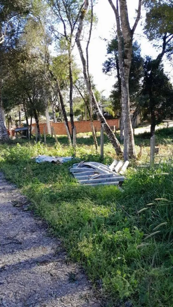 Terreno - Foto 4
