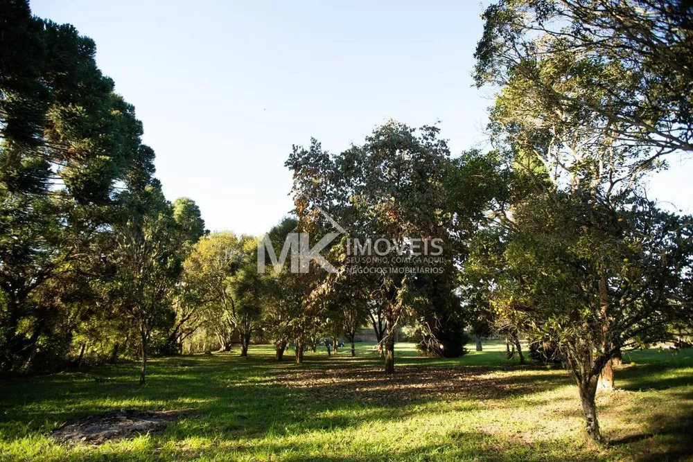 Fazenda à venda - Foto 2