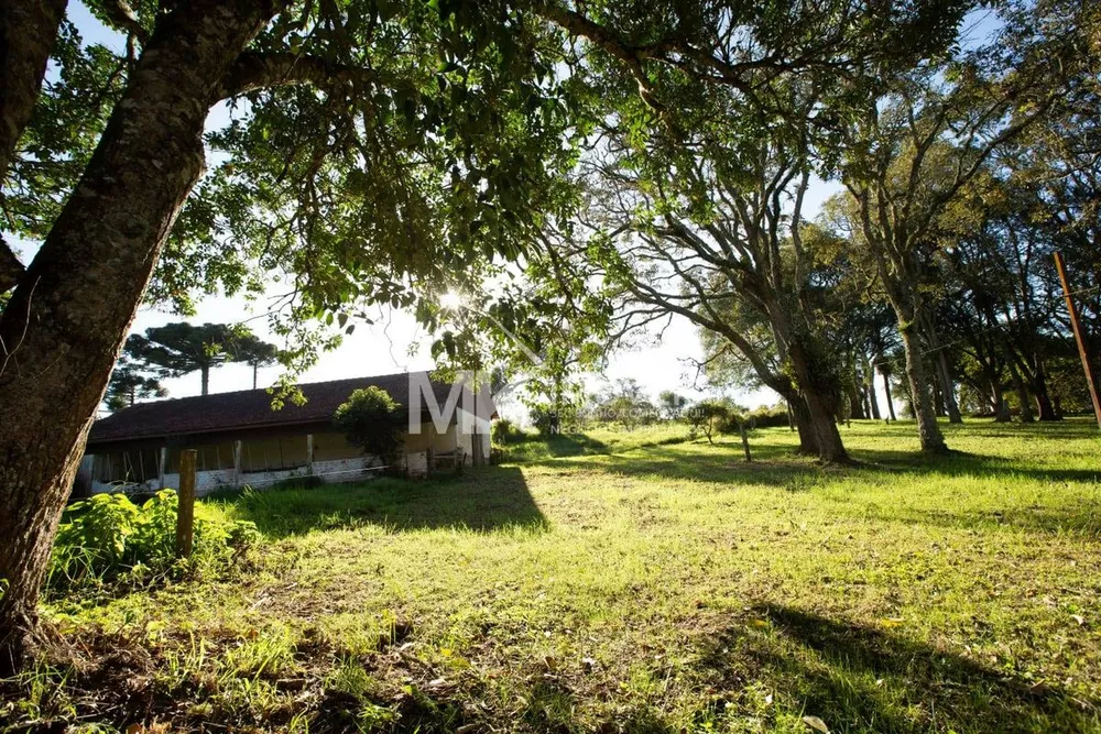 Fazenda à venda - Foto 4