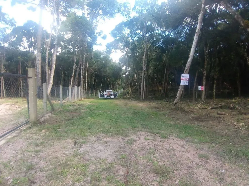Terreno - Foto 6