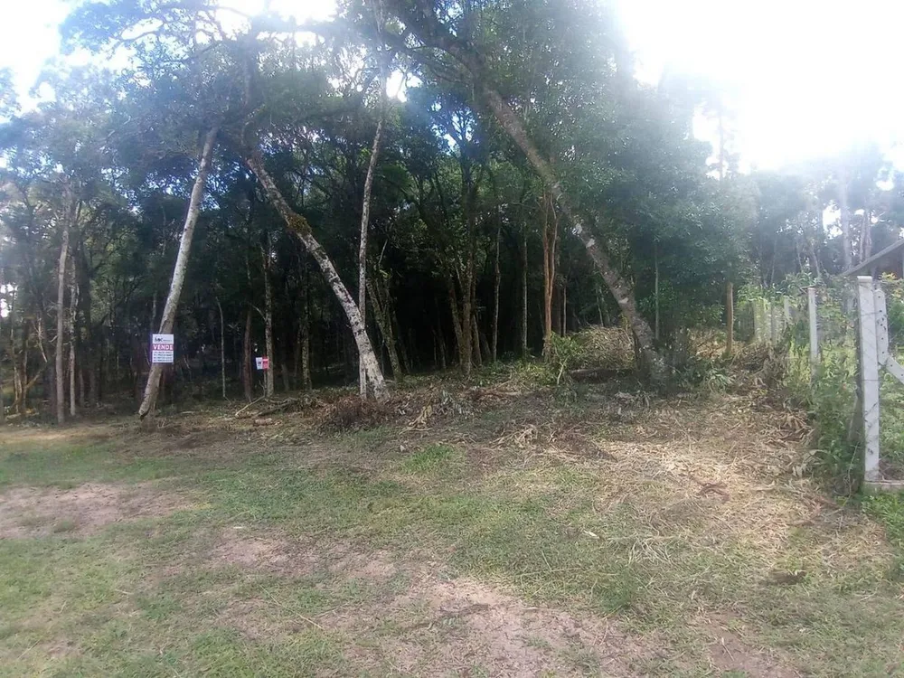 Terreno - Foto 4